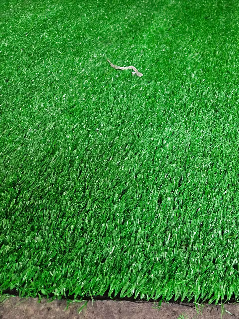 Cỏ nhân tạo 1.5cm đẹp