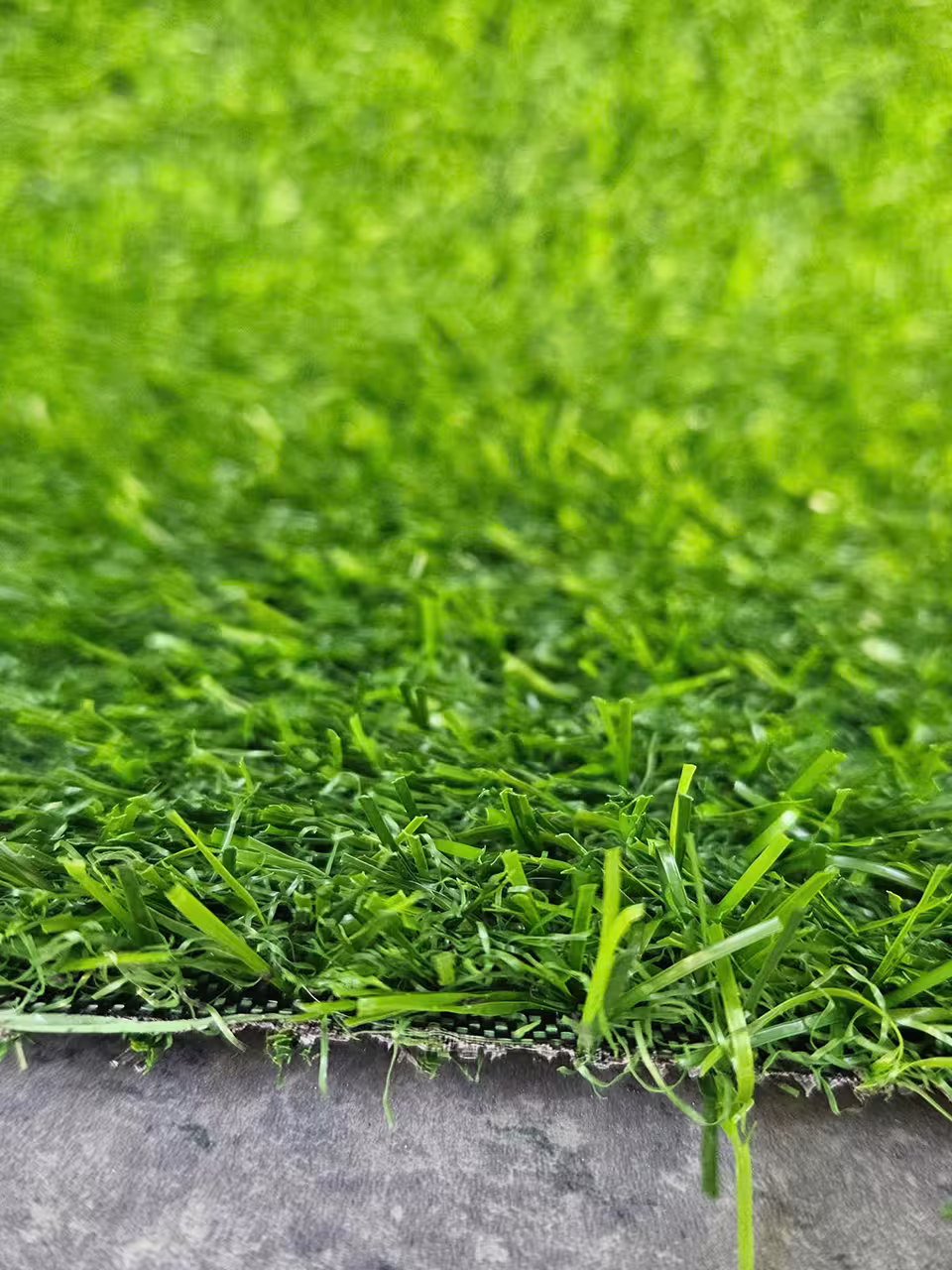 Cỏ nhân tạo 2cm tốt
