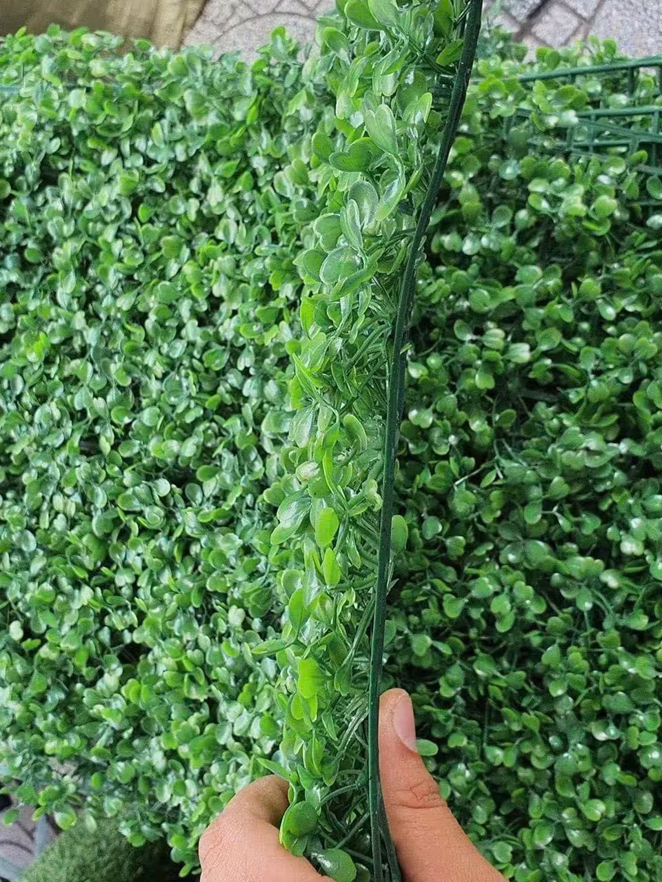 Cỏ cải xoong nhựa trang trí tường