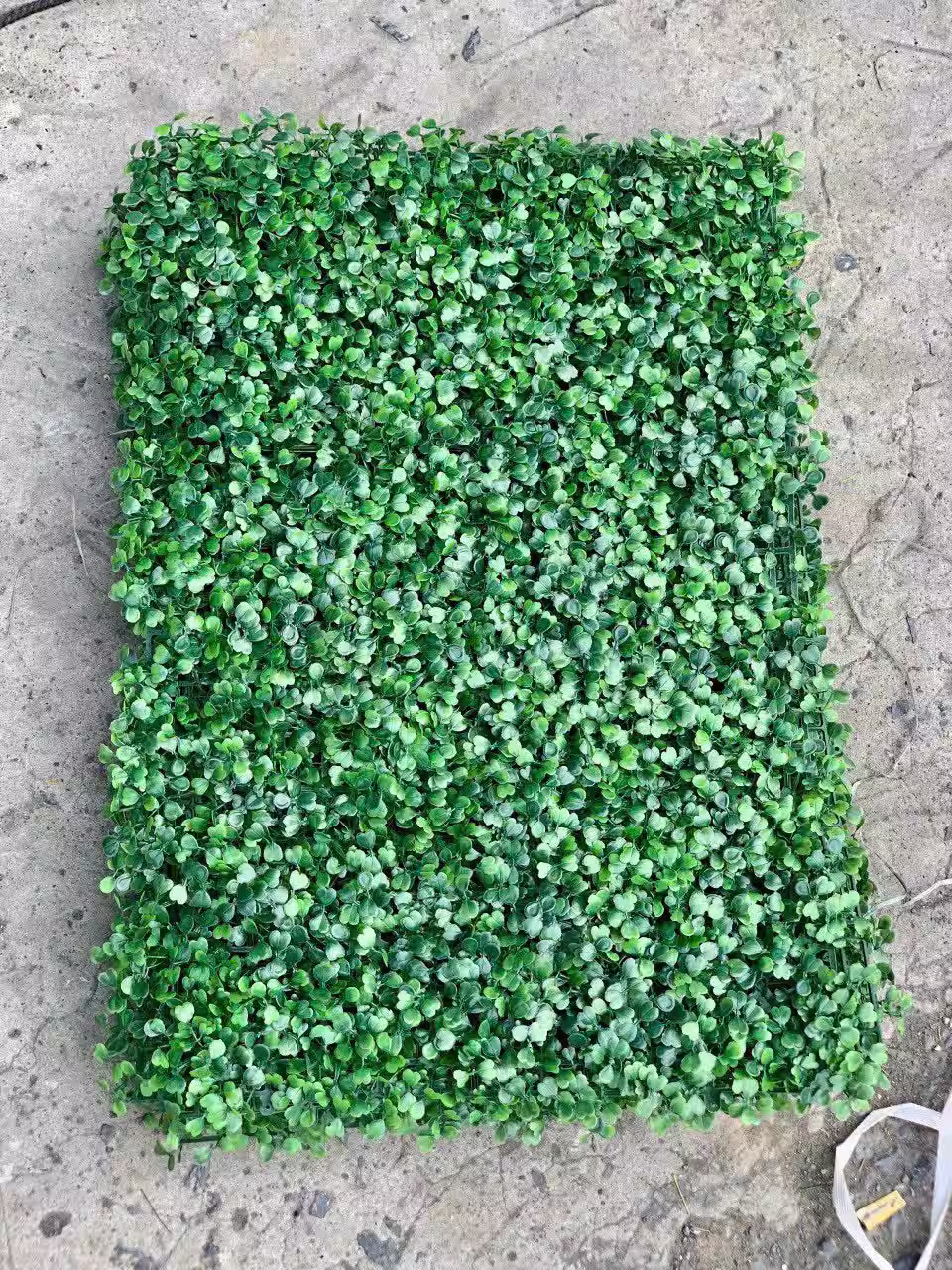 Cỏ cải xoong nhựa trang trí tường