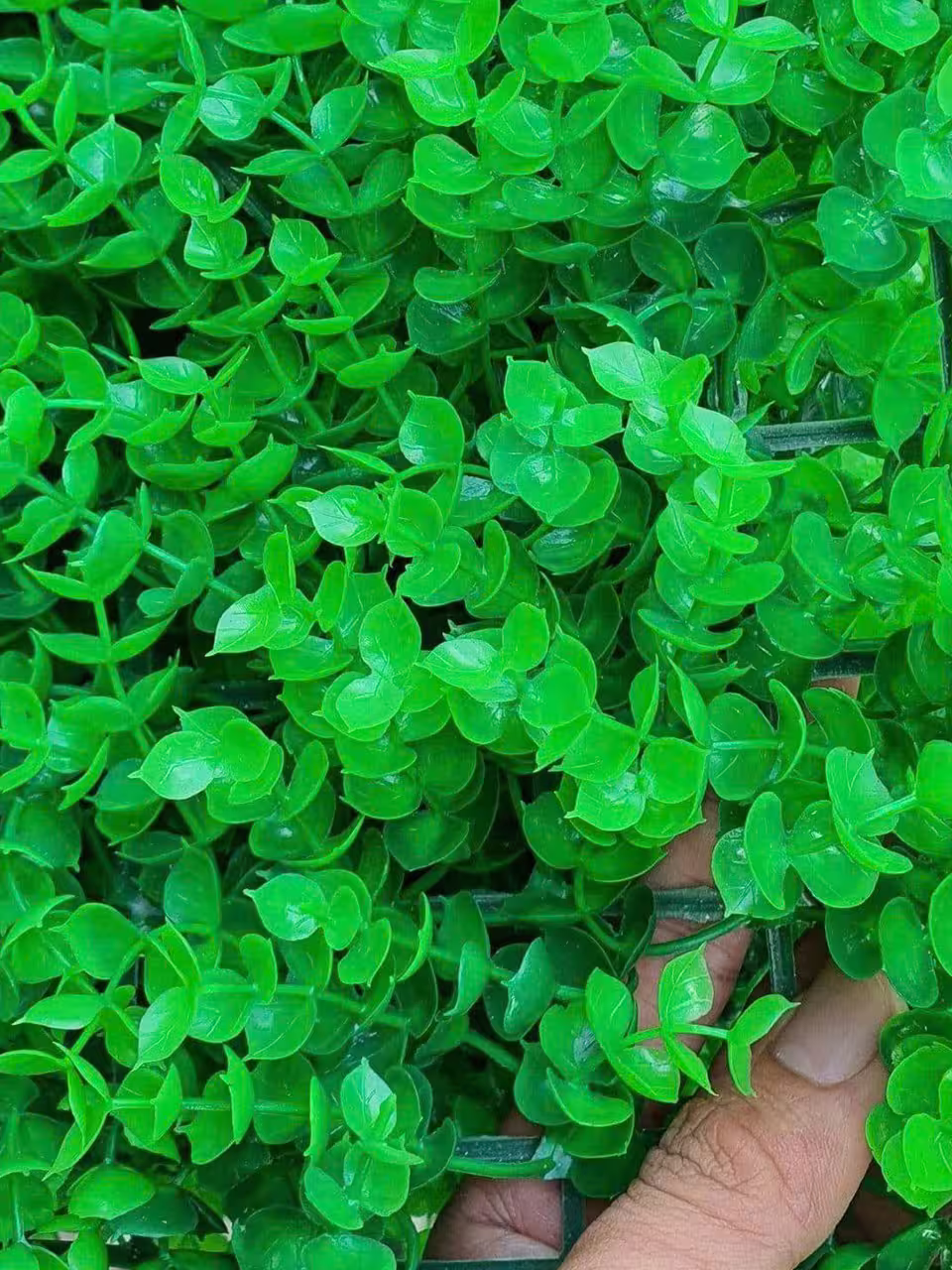 Cỏ tai chuột nhựa trang trí
